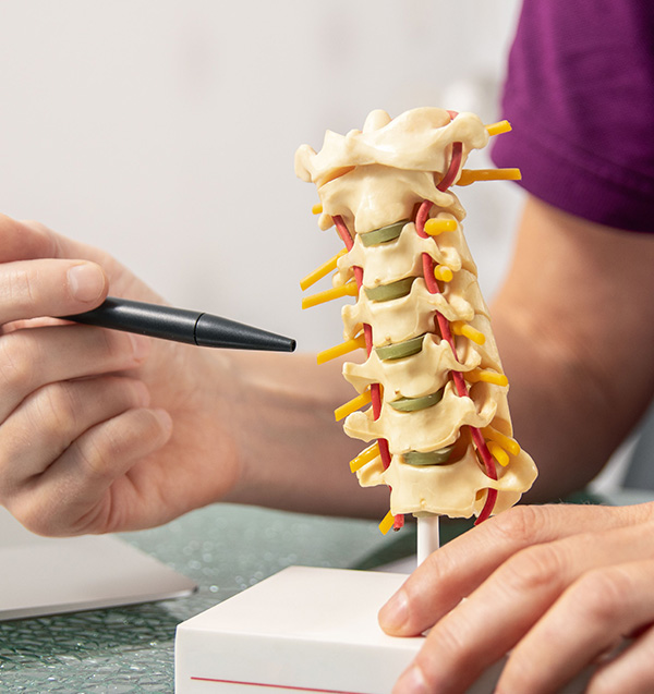 Spine Rehabilitation